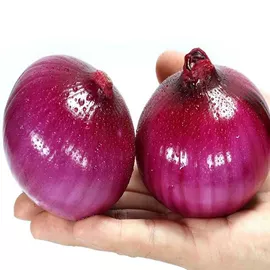 块茎类;苹果;其他水果