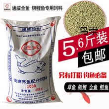 ͨ���~��� �³��w���~��� �a�~���~ ��~��C �ڿ�ĥ��