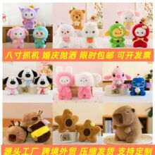 �˴�ץ���ޙCë�q��߻�c����ˮ��С����ż��ӶYƷ���Q���l�ɐ�