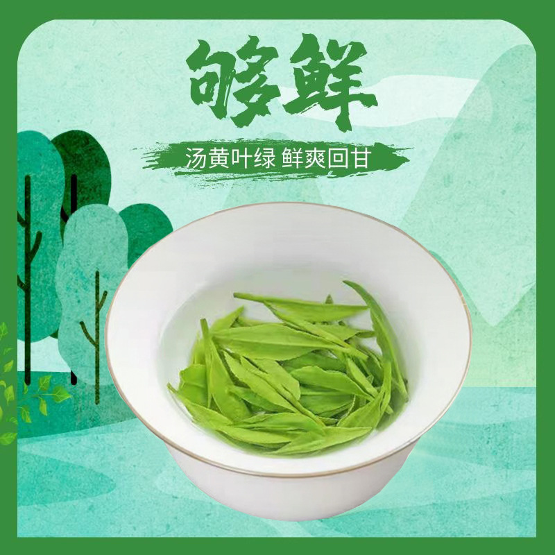 罐装龙井茶2024新茶明前绿茶浓香型袋装散装豆香春茶龙井茶叶|undefined