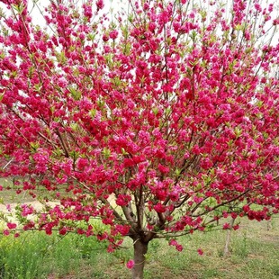 ���~���Ҙ���ͥԺ�^�p�һ��t�~���Ҙ乤�̾G������ľ�e���L������