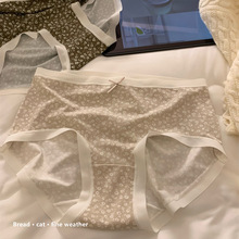 ꖻ"軨ŮϵĪ黨ѝŮdѝ