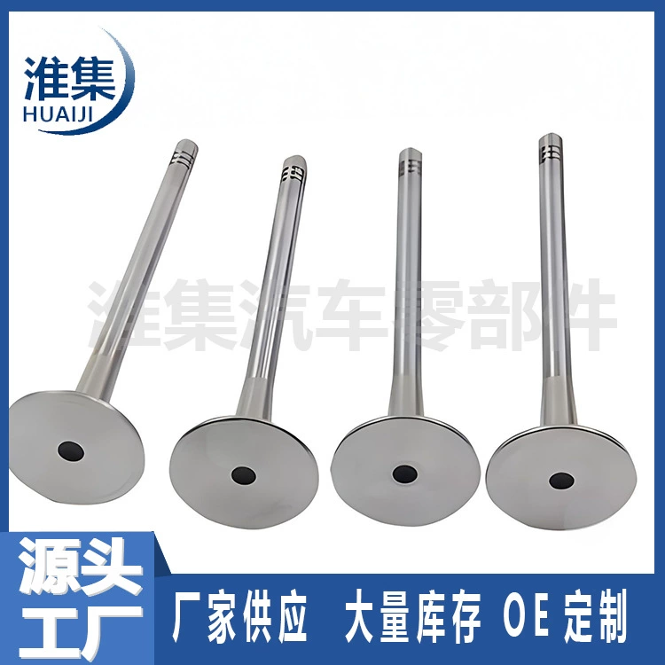 Производитель источника производит впускные и выхлопные двери автомобиля 06E. 109601 H 06D 109611 L