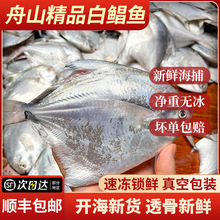 2025rK~|yK~Ұƽ~ײ~lһl