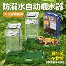 昆虫守宫活体蟋蟀饮水器防溺水针头白蟋蟀蝈蝈油葫芦杜比亚喝水盆