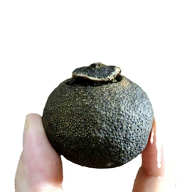 普洱茶;红茶;白茶