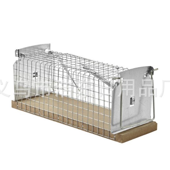 2025-03-18 11:55:24.jpg