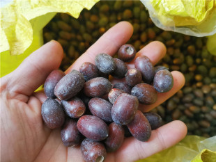 �����1�� ����Ӹɹ��� diy�ֹ��}�Q���٭h�b� ���껨ˇ�[��