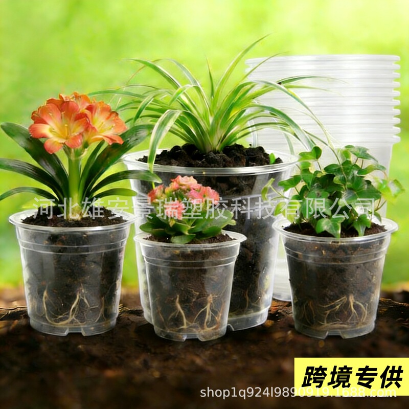 Amazon Thickened Transparent Flower Pots for Home Use, Root Control Seedling Pots, Gardening Planting Pots, 8” 9.5” Inches, Factory Shipped