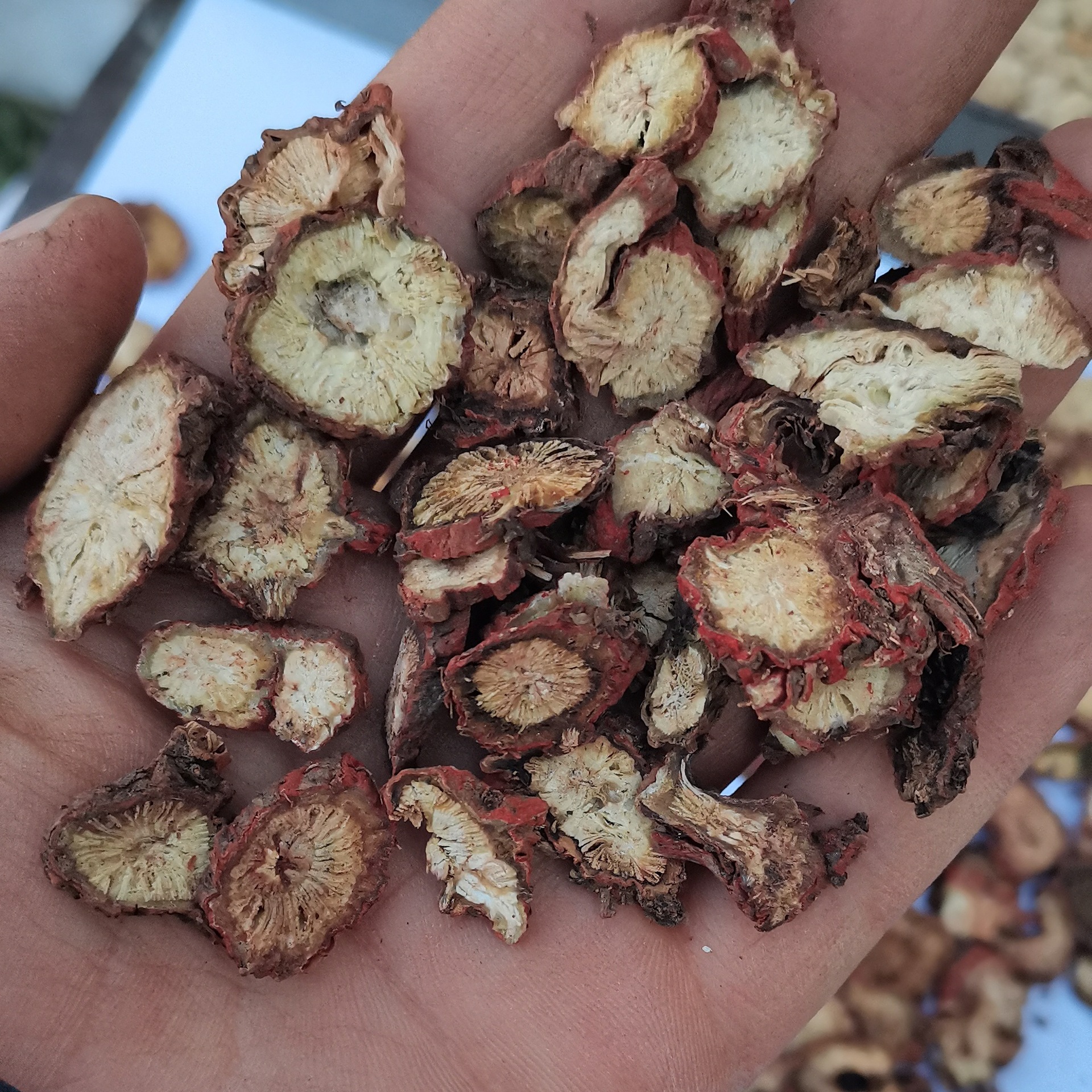 Dan Shen slices new stock bulk Shandong Dan Shen purple Dan Shen various specifications large Dan Shen TCM factory direct sale