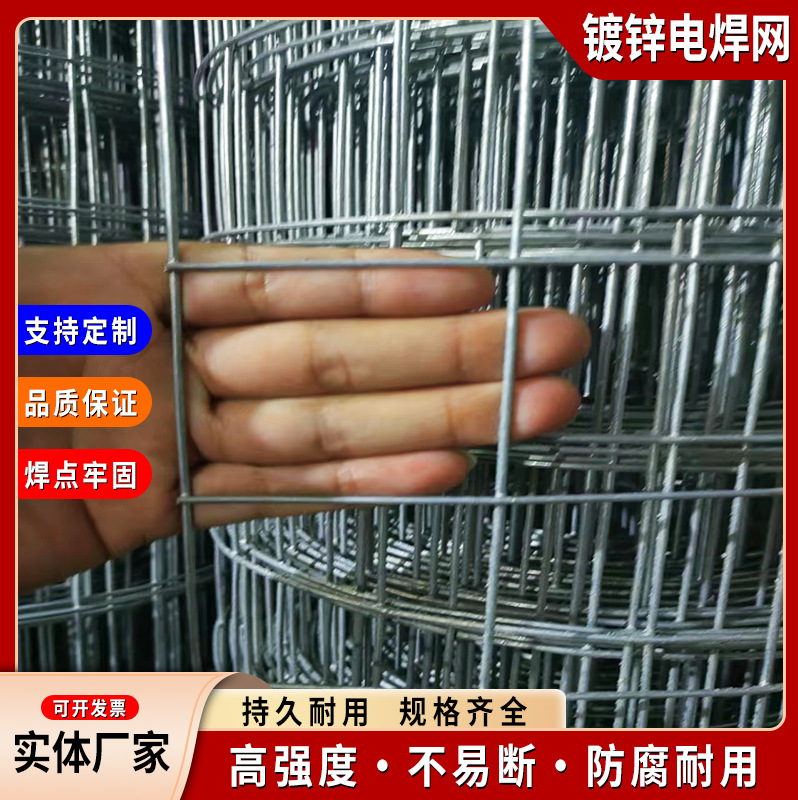 建筑抹墙电焊网防裂抹灰网冷热镀锌铁丝网钢丝网内外墙挂网批荡网