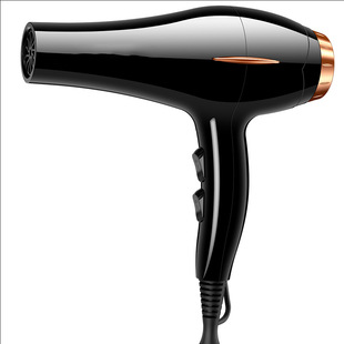 Factory Direct Sales Household Hair Dryer Negative Ion Hair Care Constant Temperature Hot and Cold Air Hair Dryer Dormitory Dc Ac Hair Dryer