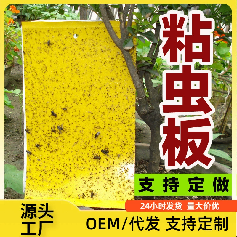 Липкая доска насекомого-убийства доски насекомого ловя небольшую доску насекомого летания желтая доска Двухсторонняя доска насекомоц-уловитель насекомое-ловушка тли убийства насекомого