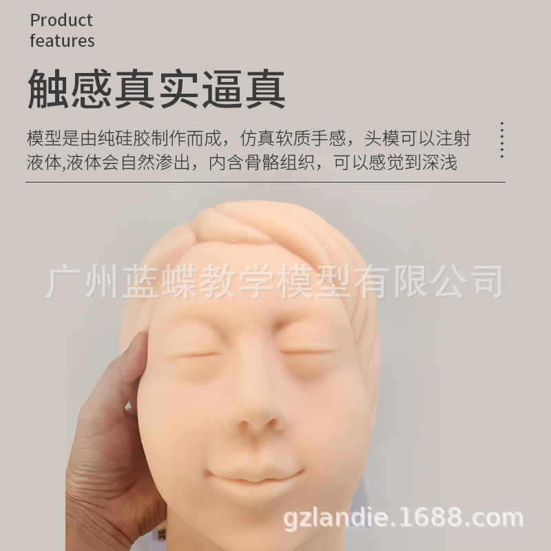 ע��Ƥ������沿ģ�� ΢��ѧϰָ����ѧʾ�̵��� Ů�Թ轺ͷģ