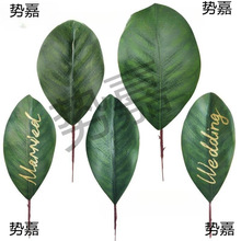 Y~~Ƭ漈~mzƬ廨^z羳