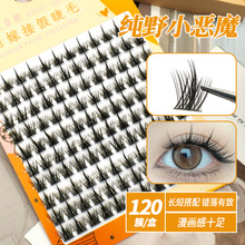 ��Ұ��ħ�ٽ�ë�������R�д������Լ޽ӻ��y������ƽ��ħͫ�Aվ