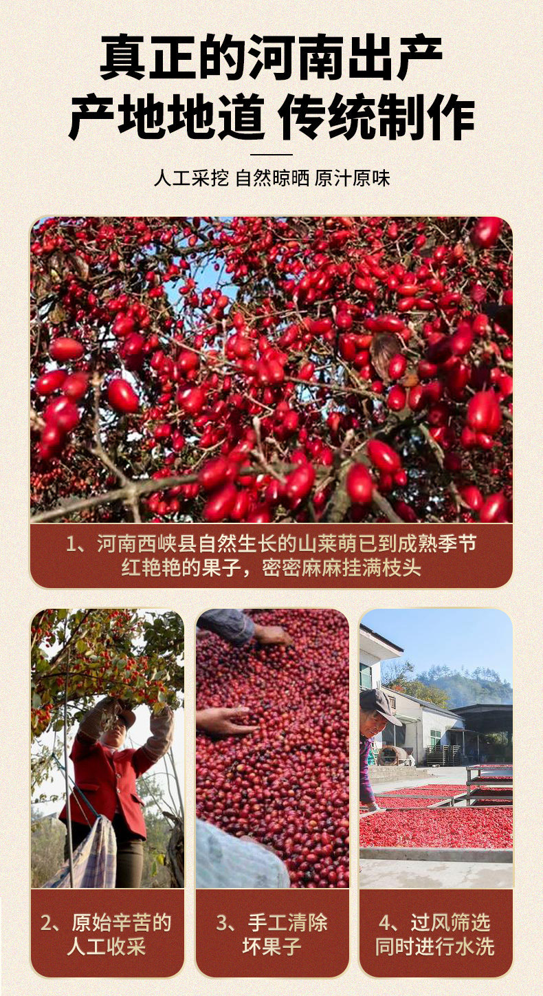 Premium Cornus Fruit Shan Zhu Yu 山茱萸 Dried Asiatic Dogwood Berries for Herbal Tea and Decoction 260g Jar quality and texture