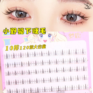 ��¹�ٽ�ë�½�ëСҰ؈10��120�ش���������ȻС�������b