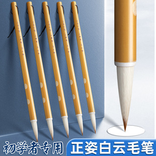 Portable Brush Set, Felt Calligraphy Bag, Beginner's Entry-Level Brush, Kidsren's Primary School Students' Water Writing Cloth Writing Practice Brush