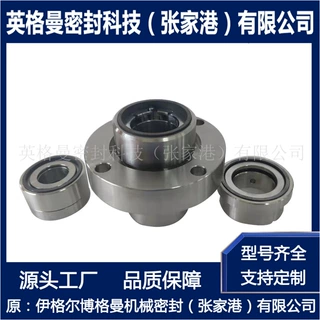 适用于安德里茨压力筛机械密封 11-LP-D-S32-D20/60-DE机械密封