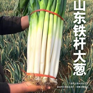 �F�U���r���[���[�������rС���[���[ɽ�|���[�r��������[�F��