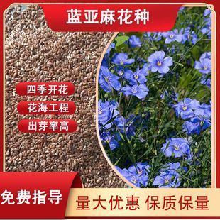 ͥԺ�̨�������{���黨�����Ի��ܷN�ӻ��������òݻ��N�{��ֲ��