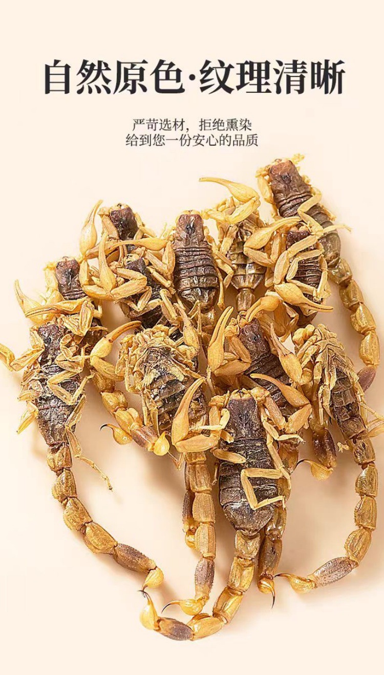 Quan Xie (Scorpion, Buthus martensii) — Dried Whole Scorpion, Food-Grade Herb for Decoction quality and texture