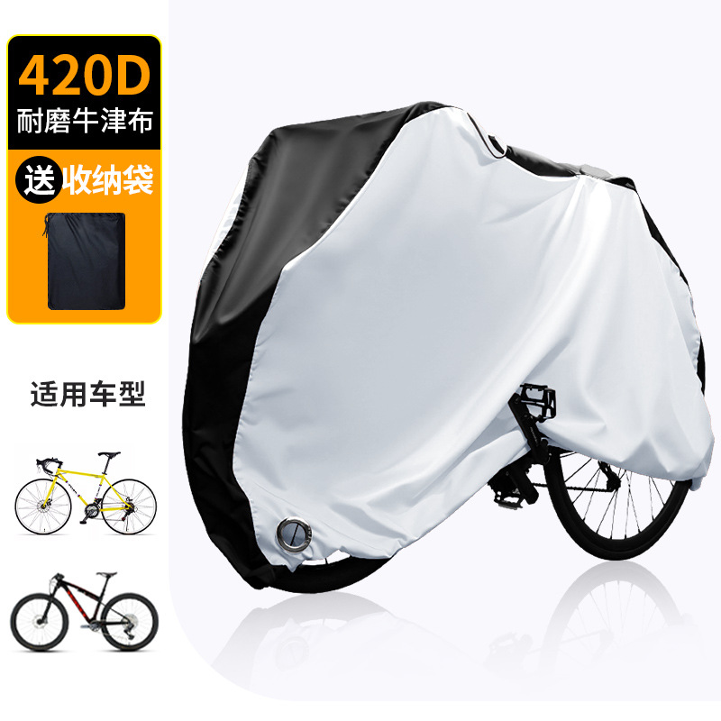 420D 실버와 블랙