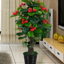 ֲ��٘����Լ���͏d��ؔ[�����ϾGֲ�辰�b��O�������