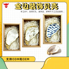 金边牡蛎壳创意手工艺品圣诞节装饰贝壳首饰碟用花纹生蚝壳