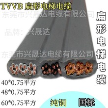 ����S����|TVVBG40*0.75���p䓽z/����䓽z���˱���|��ĥ