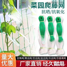 百香果网网山药爬攀爬农用瓜豆丝瓜藤豆角吊瓜网香果百香种植黄瓜