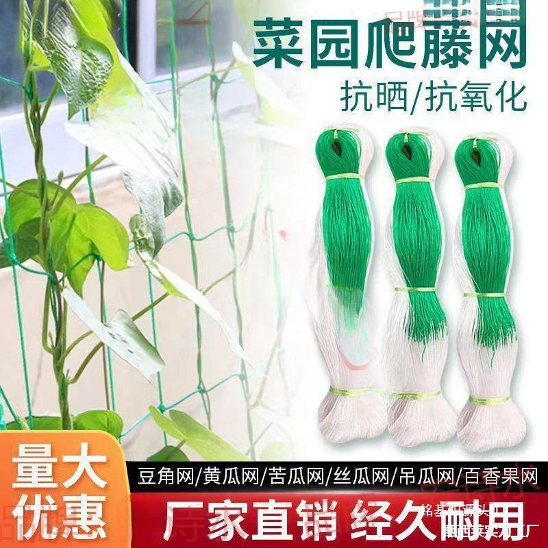 百香果网网山药爬攀爬农用瓜豆丝瓜藤豆角吊瓜网香果百香种植黄瓜