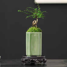 �մɻ���������m���������������ķ������κ�Ͳ�����辰���ɫ