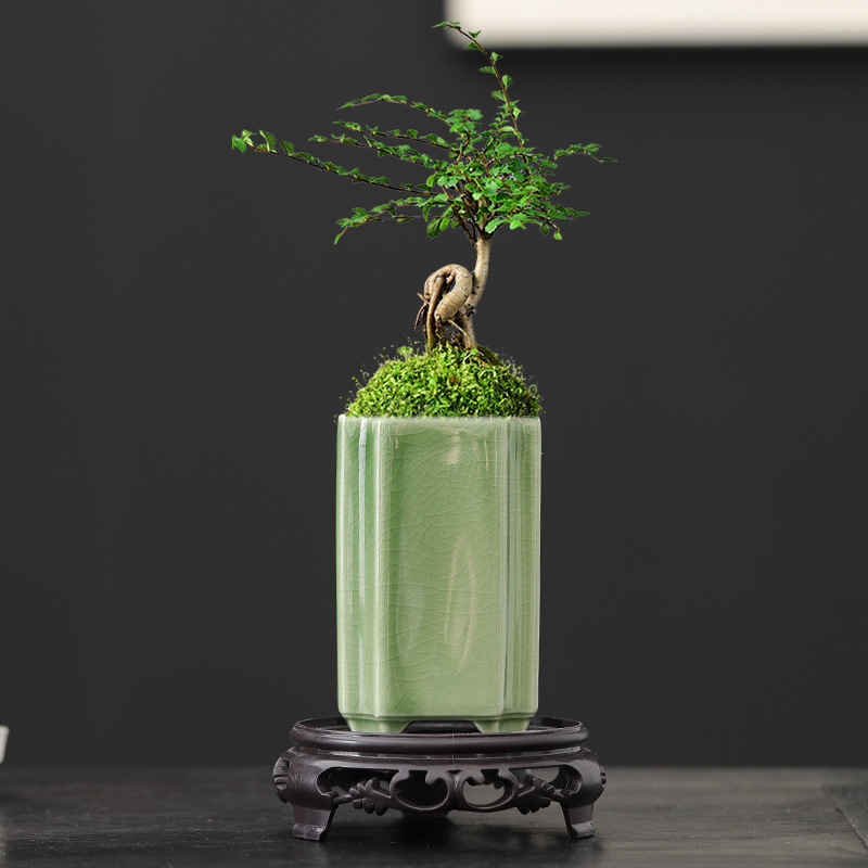 陶瓷花盆青瓷釉兰花盆高盆多肉盆栽四方六方形签筒悬崖盆景盆白色