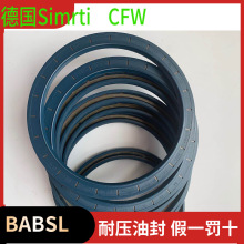 ��CFW�ͷ�BAB5SL 100  120  7.5ԭ�b�Ǽ��ͷ�DIN3760 A AS