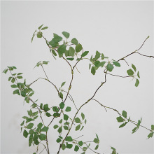 ����ʽ����ֲ���ٗl�^��ɏ�~�ӶU��廨�쾰��ľ�L֦���ٿ͏d�[��