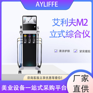 Elif M2 Vertical Comprehensive Instrument Cleansing, Hydrating, Oxygen Injection, Small Bubble Skin Comprehensive Management Instrument