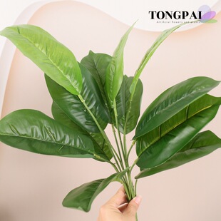 12^ֲ˽ֲ֧ԾGֲŽ~B