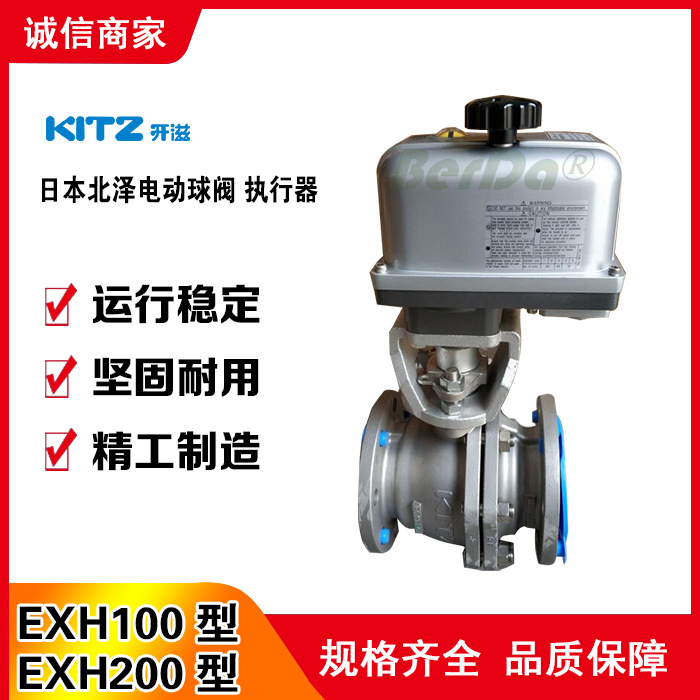 日本EXH110-1,EXH110-2,EXH110-3,EXH110-4电动球阀,执行器