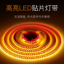 定制彩色 led软灯带低压12v贴片120灯室内氛围网吧酒吧灯条氛围灯