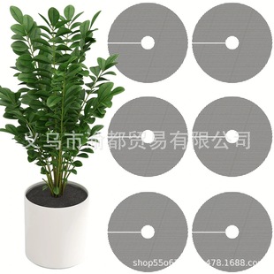 �U�չ�����������С���������o���w��؈���oֲ��������o�W���w