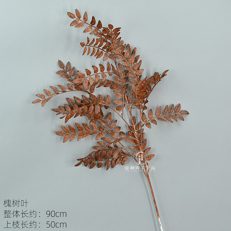 소포라 나무 잎 다크 브라운