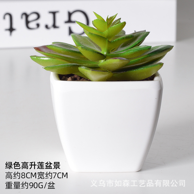 Simulación de plástico carnoso bonsai flor falsa combinación oficina interior escritorio plantas verdes pequeños adornos plantas artificiales al por mayor image 31