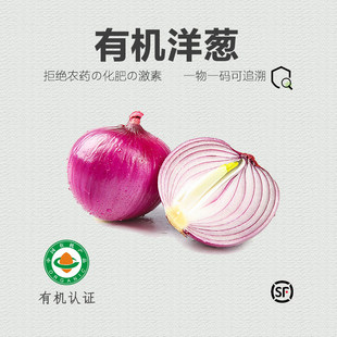 �ϼtƤ���[ �������[�A�[�^���r�߲����l���[�^һ�����l