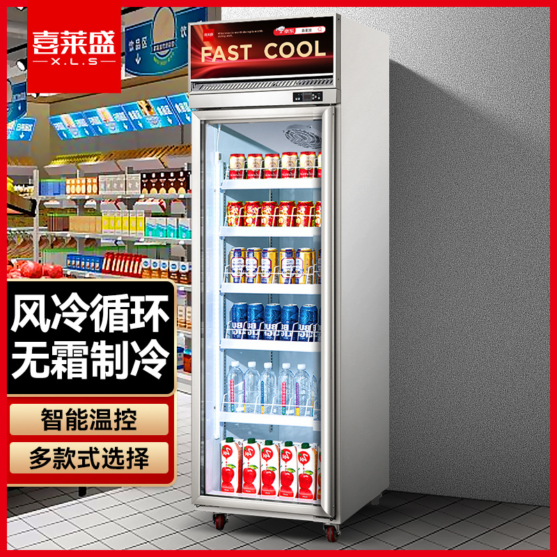 喜莱盛展示柜冷藏冷冻饮料柜风冷高端款 超市冰柜便利店冰箱水果
