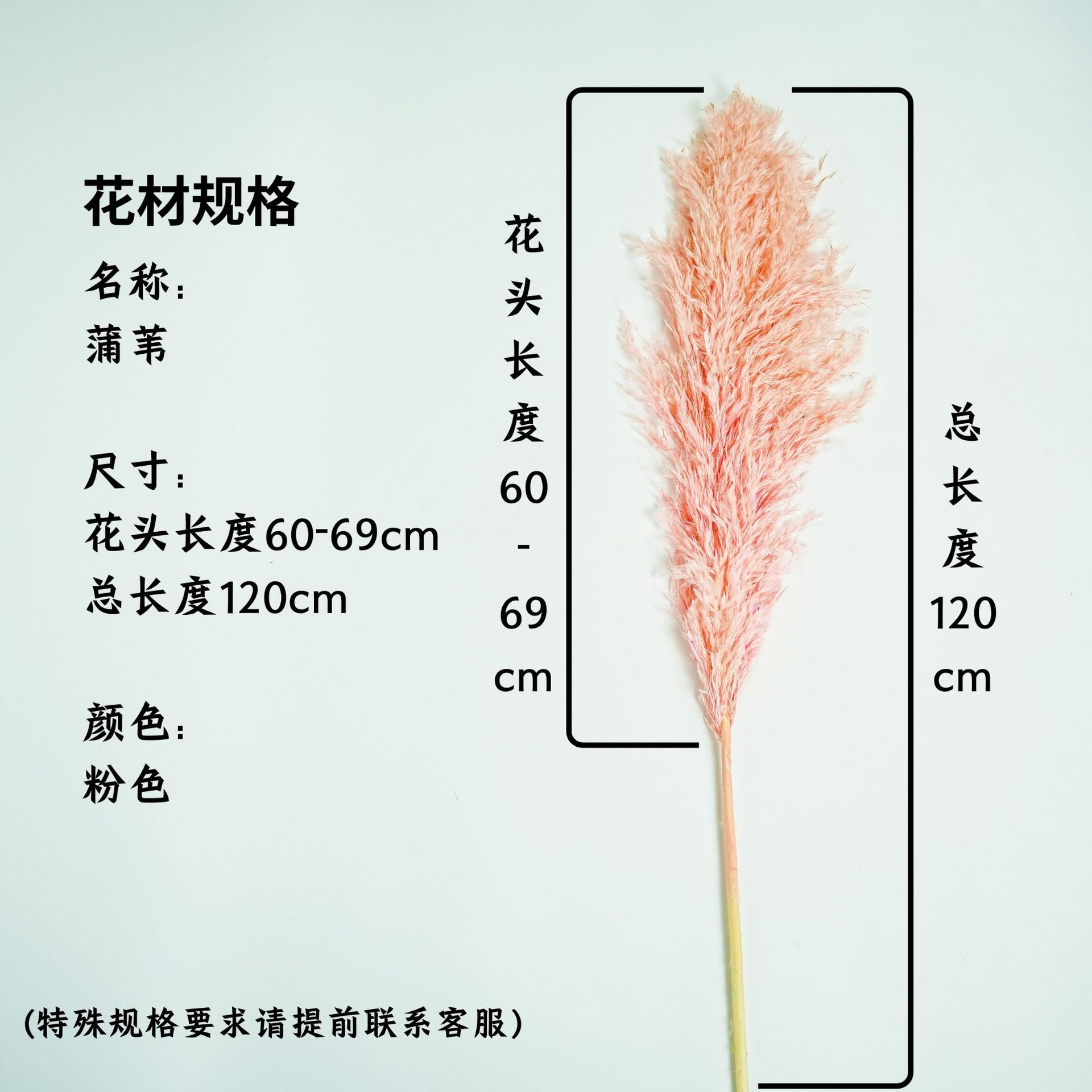 꽃머리 60~69cm 핑크