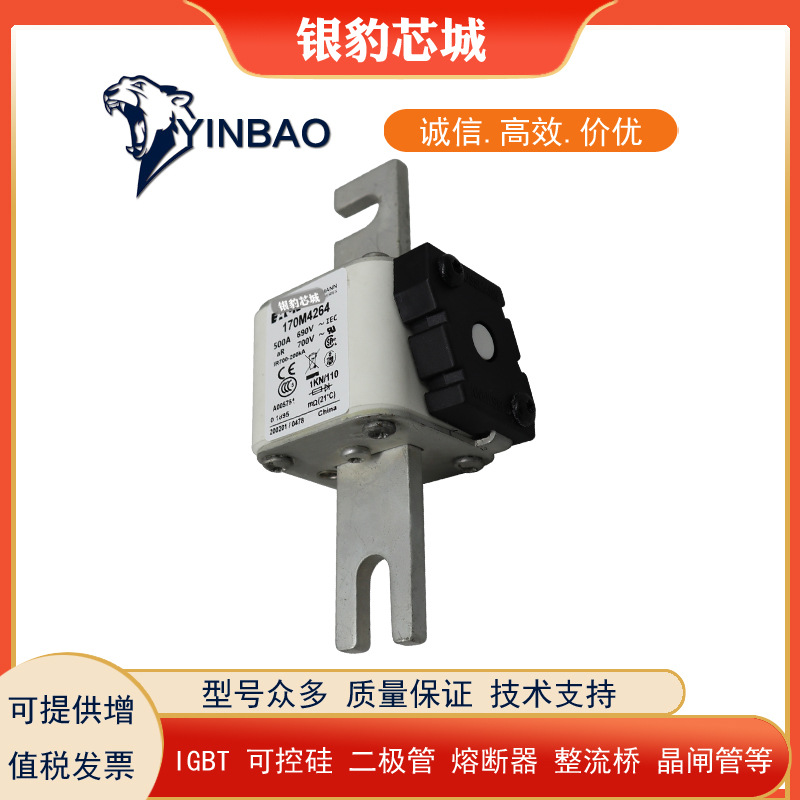 170M6258 170M6259 170M6260 170M6261 170M6262全新熔断器保险丝