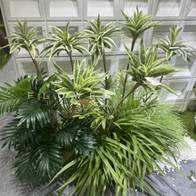 热带袖珍椰子树植物墙配材小椰子叶散尾葵仿真棕榈树盆景装饰葵树