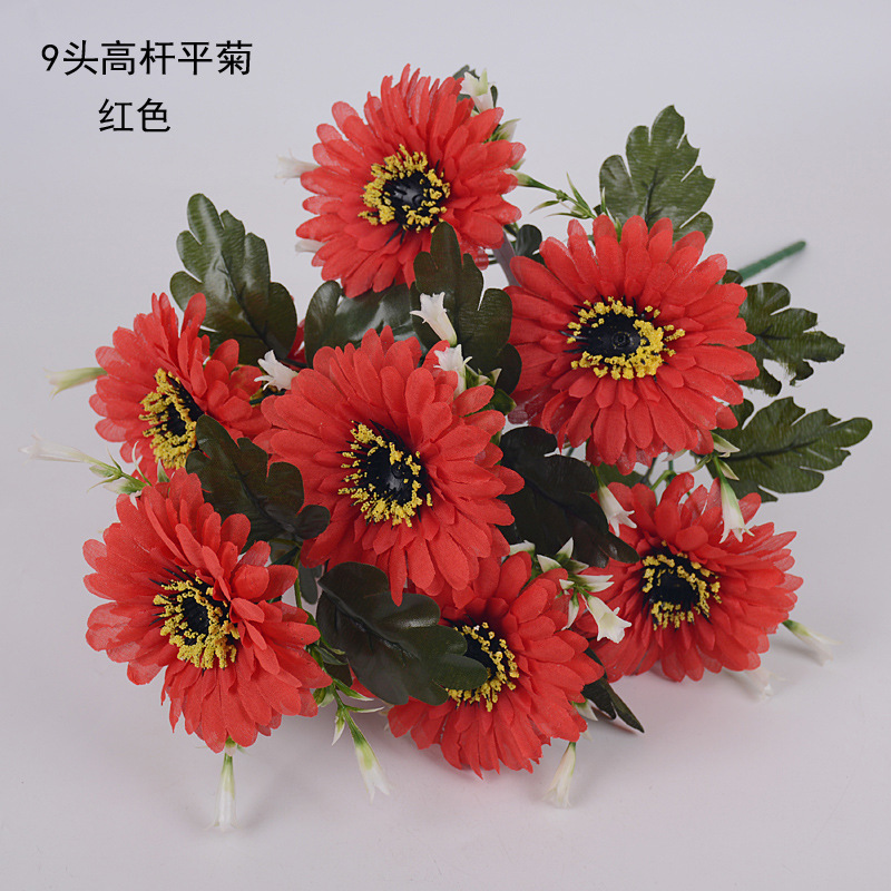 9头高杆平菊01 副本.jpg